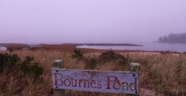 Foggy Bournes Pond