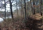 HSOY Nature Trails