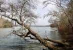 Pickerel Cove, Mashpee