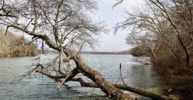 Pickerel Cove, Mashpee