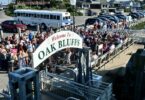 Falmouth To Oak Bluffs